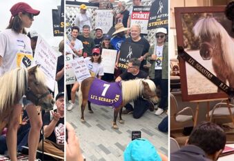 Lil Sebastian the Mini Horse Reunites with the “Parks and Rec” cast at the Hollywood Strike