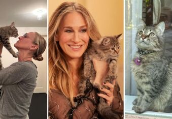 Sarah Jessica Parker Adopted Lotus, her cat costar "Shoe," from "And Just Like That"