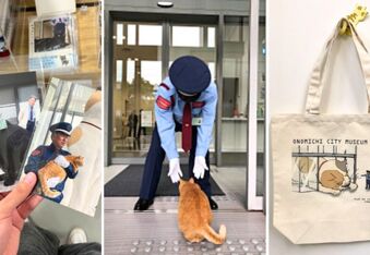 Two Cats Spent Years Trying To Sneak Into a Japanese Museum - Now They Have Their Own Merch Collection