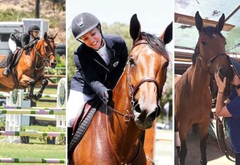 ‘Horse of a Lifetime’ - Kaley Cuoco Shares Tribute to Her Show Horse Bella Who Passed Away