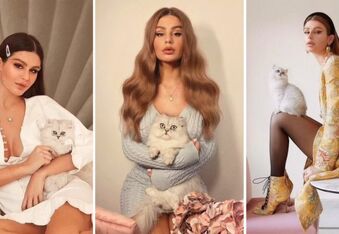 Fashion Influencer Nima Benati Hires Pet Detective to Find Lost Cat - Amid Suspicions of Satanic Cult Involvement