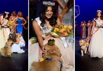 Brady the Service Dog Won the Miss Dallas Teen Pageant!
