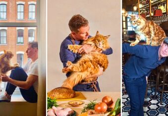Chef Bobby Flay’s Famed Cat, Nacho, Has Passed Away - ‘Absolute Broken Heart'