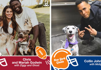 Touchdown Tails: NFL Stars Partner with Best Friends Animal Society to Promote Pet Adoption