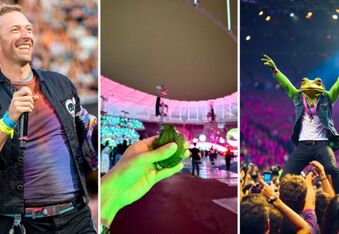 Frog Sneaks Into a Coldplay Concert and Scores a Great View