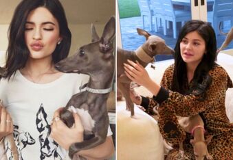 Kylie Jenner Admits Her “Best Hire” Was a Dog Nanny for Her 7 Italian Greyhounds