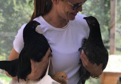 Jennifer Garner Posts Touching Tribute to Pet Chicken, Regina George, & Replaces Her With Ants