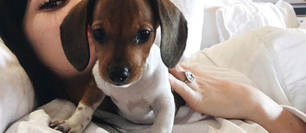 Kylie Jenner Posts an Update On Her New Beagle Penny Jenner