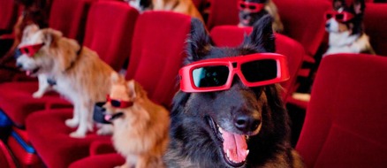 5 Movies with The Cutest Pets You Forgot About