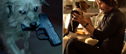 Dog Wick: What if Keanu Reeves and his Puppy in John Wick Switched Roles?