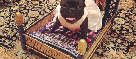 Frenchie: Miss Asia Kinney Models $2,400 Versace Cushions While Lady Gaga Preps for Super Bowl 51