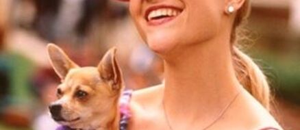 Bruiser Woods the Chihuahua from ‘Legally Blonde’ Passed Away in a Post by Reese Witherspoon