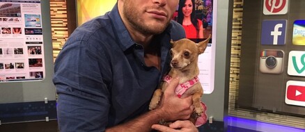 Scott Eastwood The Funny or Die Bachelor for Dogs