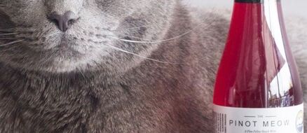Cat Wine is a Thing Now and Your Cat Demands It