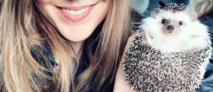 The “world’s cutest adventurer” Mr. Pokee is an African Pygmy Hedgehog with Wanderlust