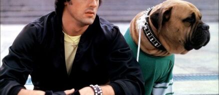 The Inspirational Story of a Broke Sylvester Stallone Selling his Dog for $40 and Buying Him Back for $15,000