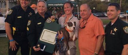 The inspirational story of Deputy Shakes: From disabled rescue to celebrity cop