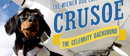Crusoe the Wiener skyrockets to fame from Dog Blog in Crusoe’s voice