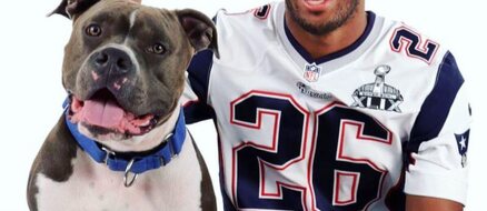 NFL star and wife turn wedding into dog rescue fundraiser
