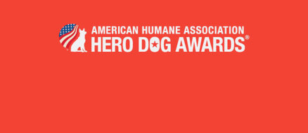 Hero Dog Awards: meet the top 7 finalists