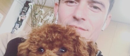 Video of Orlando Bloom playing with puppy is straight fire
