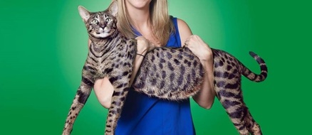 World’s tallest cat and cat with world’s longest tail also happen to be roommates