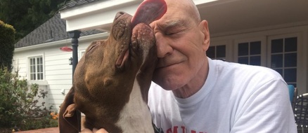 Patrick Stewart finds home for foster pitbull, starts rescue dog fundraiser