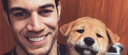 Evan Antin: the fire celebrity vet who is a gift to us all