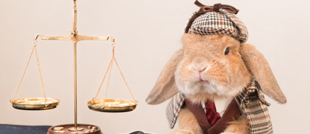 Your day just got better thanks to this impossibly cute cosplaying bunny