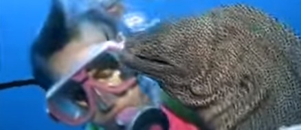 The story of a diver and moray eel becoming BFFs