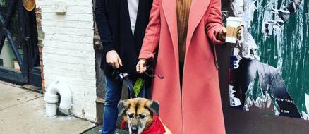 Hilary Duff & Matthew Koma Adopt Senior Dog