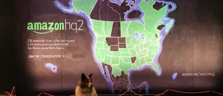 Amazon HQ has 6,000 dogs and they have better office perks than you