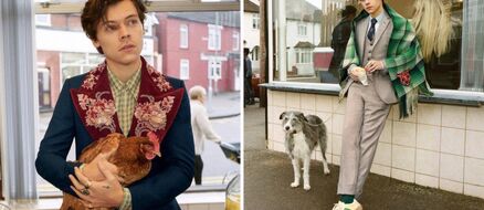Harry Styles, Two Chickens, & Several Dogs Pose for Gucci in This Fish & Chips Shop