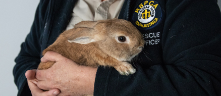 Bunny Mistaken for Bomb In Airport - Causes Havoc