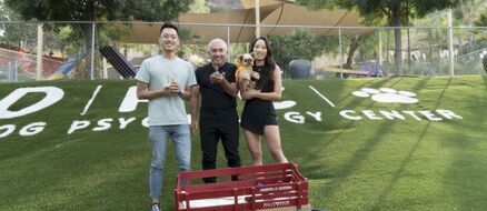 Cesar Millan advises pet owners not to get emotional when looking for a dog