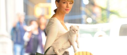 Taylor Swifts Cat is One of the Worlds Richest Pets