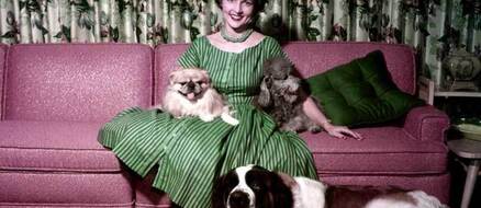 A tribute to Betty White - Legendary animal welfare advocate