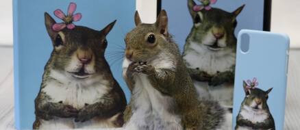 Jill The Squirrel Hurricane Isaac Survivor Now Famous Family Pet