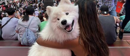 Boomer The Landcloud is One of the Most Recognizable Dogs of the Decade
