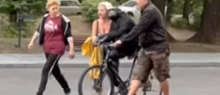 Chimpanzee escapes zoo, but it starts raining so she gets a jacket and bikes back