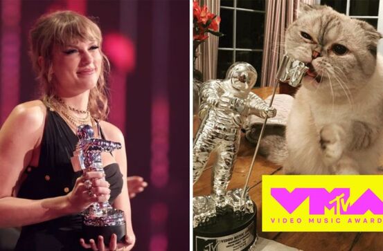 2023 MTV VMA Winners: Meet Their Celebrity Pets!