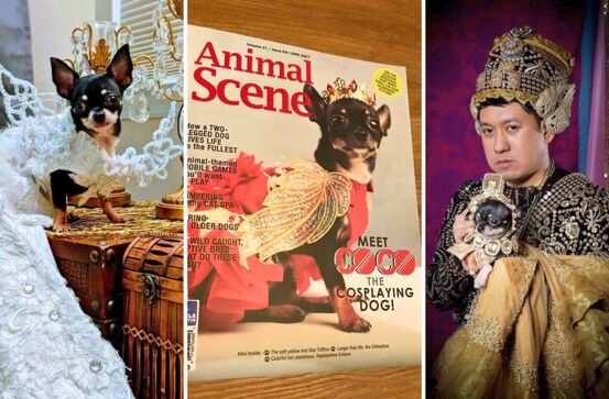 Interview With Adrian and Coco Chanel: Dog Fashion Designer and Pageant Champions