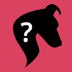 Taylor Swift Pets - Celebrity Pets