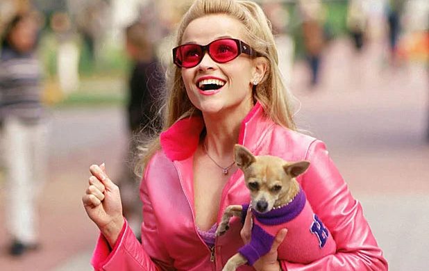 Bruiser and Reese Witherspoon in Legally Blonde