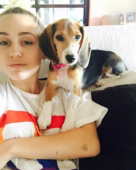 Miley Cyrus New Puppy Barbie Liam Hemsworth