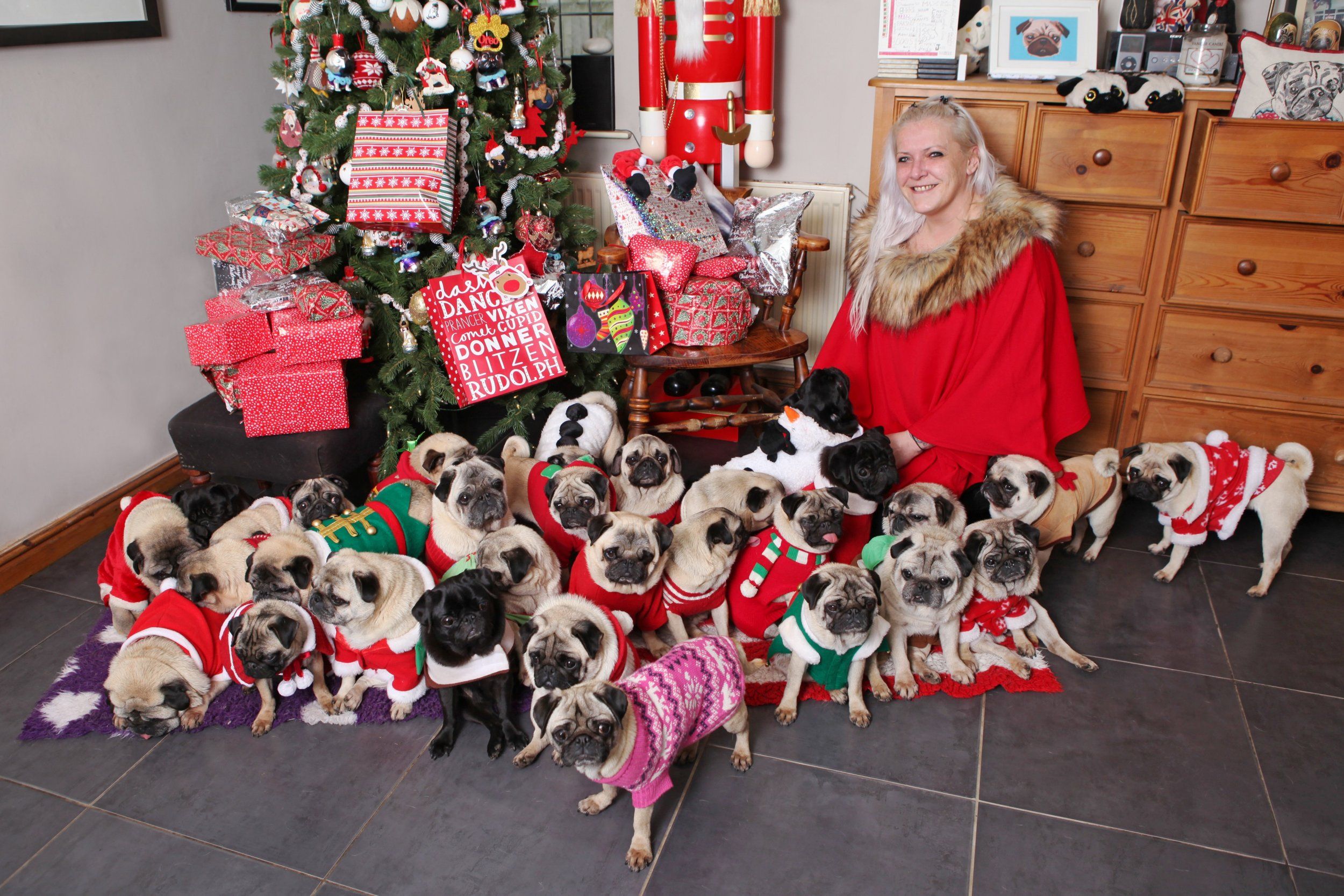 Becca Drake 30 Pugs