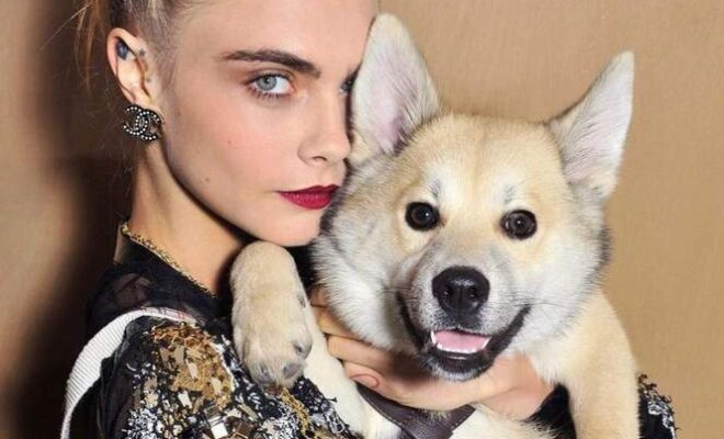 Cara Delevingne Pets