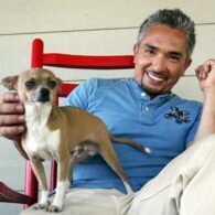 Cesar Millan's pet Coco
