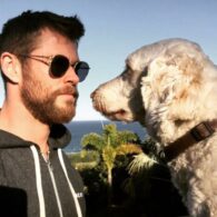 Chris Hemsworth's pet Sunny