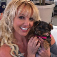 Britney Spears' pet Hannah Spears